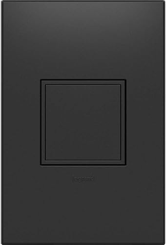 Legrand adorne ARPTR151GG2WP - Toma de corriente emergente de 1 banda de 15 amperios en grafito con placa de pared a juego, ARPTR151GG2WP