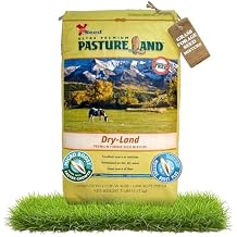 X-Seed Pasture Land Dry-Land Forage Seed Mixture with Micro-Boost Tall Fescue Orchard Grass Ryegrass Endophyte Free Pasture for Safe Nutrition of Livestock, Formulated for Dry Areas 7-Pound Bag