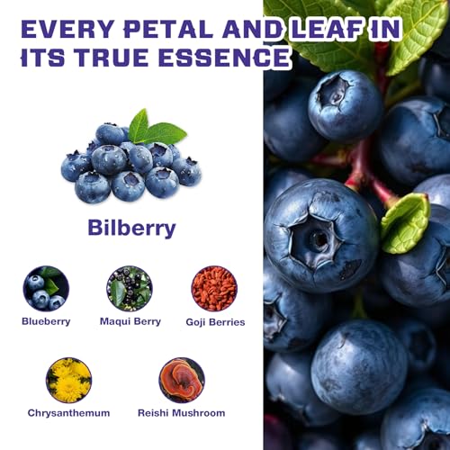 Image of VailHerbTea Bilberry Extract Tea Bags for Eye Health, 50 Count