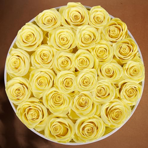 27 Roses in a Luxury Suede Box, Mother Day Flowers Gifts for Mom, Preserved Flowers for Her, Birthday Gifts for Women, Yellow