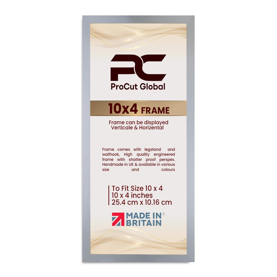 Procut Global 10X4 Silver Picture Frames - Modern Wooden Photo Frame with Shatterproof Perspex for Wall or Tabletop - Perfect for Posters, Certificates, Prints - Sizes & Colors Available