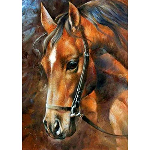 AIRDEA DIY Horse Diamond Painting Kits for Adults and Beginners, Round Diamond Painting Kits 5D Full Drill Horse Diamond Art Kits Animal Gem Painting Picture Art for Home Wall Art Decor 11.8x15.7inch