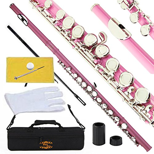 Image of Glory Closed Hole C Flute With Case, Tuning Rod and Cloth and Gloves, Light pink