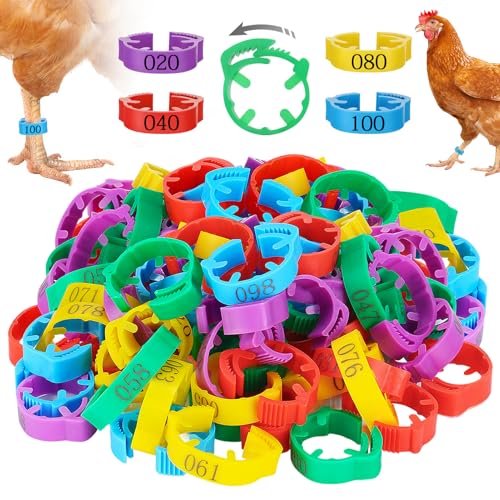 MEWTOGO 17-23mm Adjustable 100 Pcs Chicken Leg Bands - Colorful Easy to Read Numbered Chicken Identification Leg Rings Durable Poultry Leg Bands for Ducks Goose Turkey Small Birds