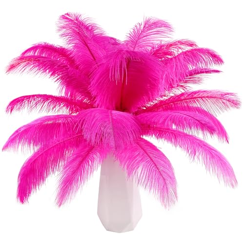 THARAHT Plumes autruche rose vif 12 pièces, 8-10 pouces