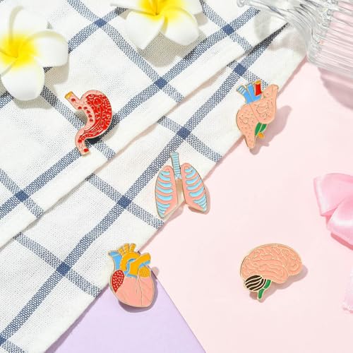 Image of Airssory 5 pcs 5 Styles Body Organ Theme Alloy Enamel Brooches Brain Lung Stomach Heart Lapel Pins for DIY Clothes Backpack Badge Jackets Craft Embellishments
