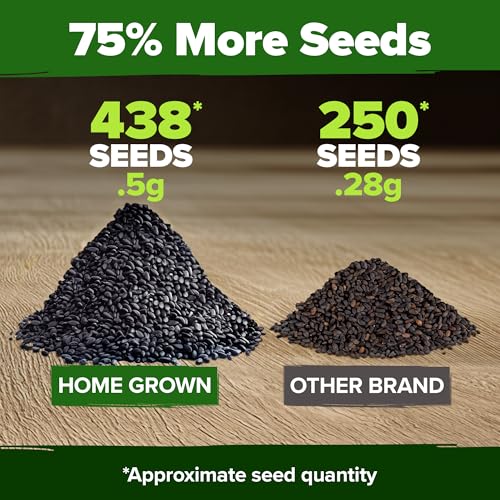 Image of HOME GROWN Thai Basil Seeds Pack - 438 High Germination Heirloom Herb Seeds for Planting,Ideal for Growing Fresh Basil Planting Indoor or Outdoor(Ocimum basilicum VAR.thyrsiflora)
