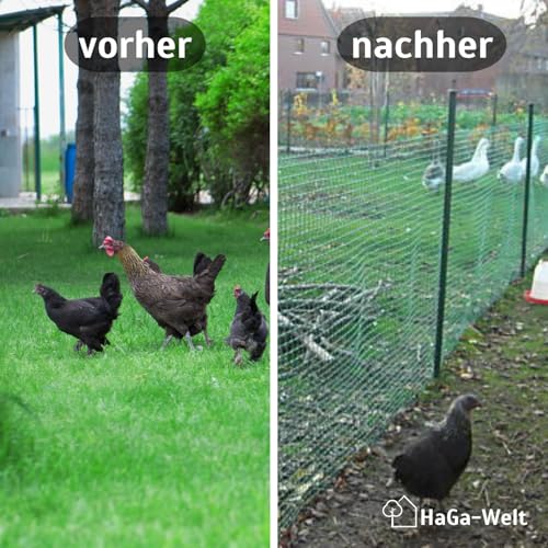 HaGa Gartenzaun aus Kunststoff - 1,2m Höhe | 1m Länge (Meterware) | schwarz | 30mm Masche - Stabiler Kunststoffzaun für Garten - Verwendung als Hundezaun, Hühnerzaun, Rankgitter, Kompostbegrenzung