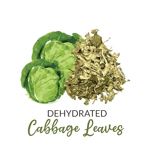 Image of SHROOTS Dehydrated Cabbage Leaves Flakes | 100% Natural & Pure Vegetarian | Machine-Dried for Maximum Freshness | No Preservatives, Nutrient-Rich & Aromatic | Ideal for Cooking, Soups, Curries & Seasoning | 45g Each