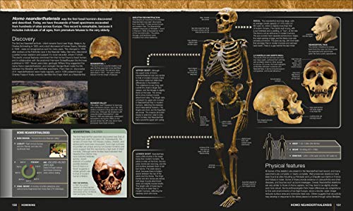 Image of Evolution: The Human Story, 2nd Edition