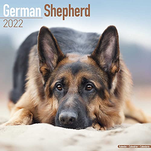 German Shepherd Calendar - Dog Breed Calendars - 2021 - 2022 wall calendars - 16 Month by Avonside
