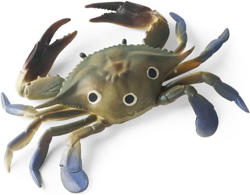 Amitasha Realistic Crab Aquatic Animal Toy for Kids Fish Squishy Figurines Rubber Sea Animal Soft Squeeze Toy for Boys Girls Lookalike Ocean Creatures Educational Gift