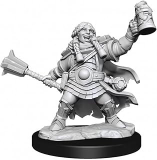 D&D Frameworks W1: Dwarf Cleric Female Miniature