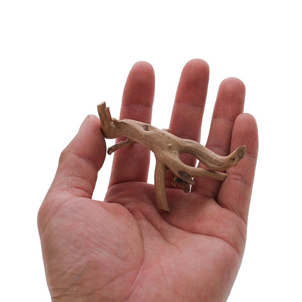 Legno naturale di corallo per acquario, forme assortite, decorazione per terrari rettili, rami in legno naturale affondabili, decorazione per acquario, per pesci e acquari