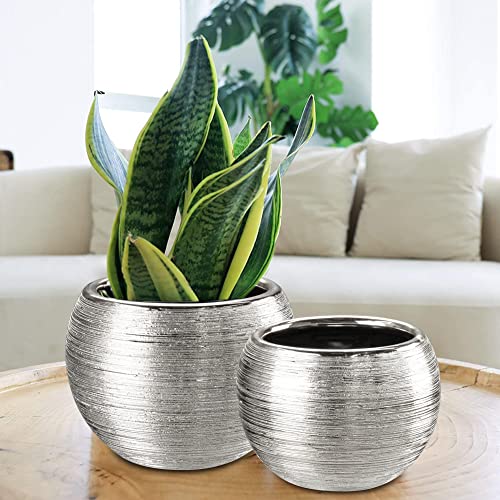 Oairse 4.5" 5.5" Silver Planters For Indoor Plants Set Of 2 Silver Plant Pots Small Flowerpot Ceramic Houseplant Planters Succulents Pots For Orchids Snake Plants #TOP4