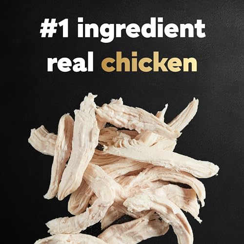 CESAR Small Breed Dry Dog Food Rotisserie Chicken Flavor and Spring Vegetables Garnish, 12 lb. Bag - Image 4