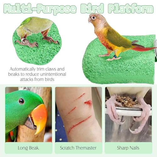 Image of PINVNBY 5 Pack Bird Perch Resin Bird Beak Grinding Stone Parrot Cage Stand Platform Foot Claws Trimmer Chew Toy Cage Accessories for Budgie Cockatiel Conure Lovebird Finch (Green)