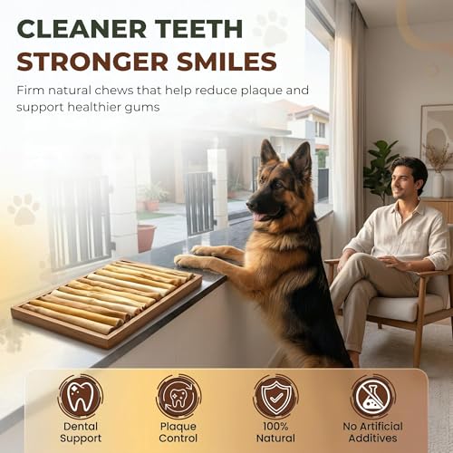 Image of Tail Delights Dog Treat and Dog Food, Single Source Protein, Low Fat, 100% Natural & Rawhide Free Dog chew Sticks, Ideal for Puppies and Small Dogs | 25 Pack (3-Inch)