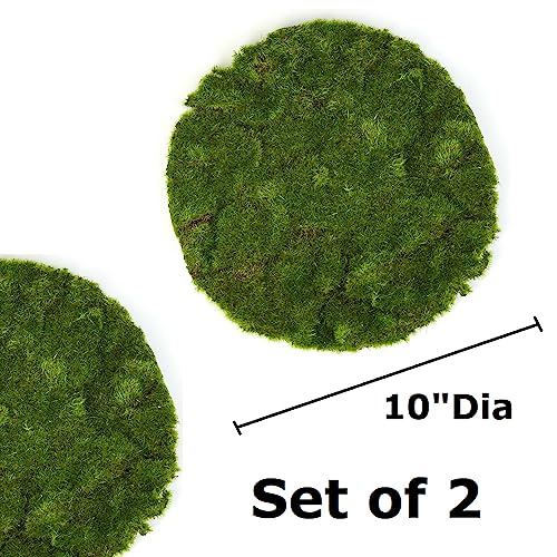 Set of 2 Artificial Round Moss Sheets by Factory Direct Craft for Craft Projects, Fairy Gardens and Displays - 10 Inches Dia Each