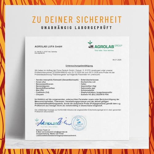 Weihrauch Kurkuma Ingwer Kapseln Hochdosiert - 196,1 mg Boswelliasäure, 133,3 mg Curcumin, Zimt, Gingerol & Piperin - Ohne chemische Entzündungshemmer oder Gelenkkapseln
