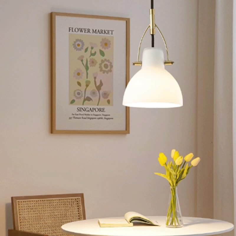 Lampe suspendue LED fer forgé luminaire design verre réglable