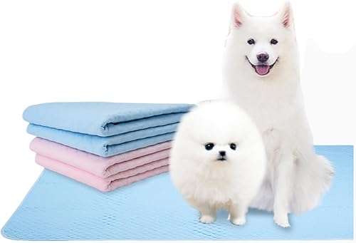 Paquete de 2 almohadillas lavables y reutilizables para orinar para perros, XL (39 x 31 pulgadas), azul, rosa, 100% impermeable y extra absorbente,