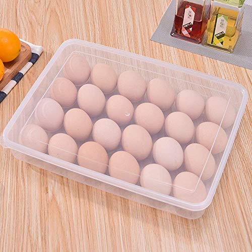 Image of RIOMAX 24 Grid Egg Storage Box Egg Refrigerator Storage Tray, Stackable Plastic Egg Containers for Fridge Kitchen (24 Grid Storage, Pack of 1)
