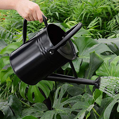 yourjoy Galvanized Metal Watering Can with Long Spout, 4L One Gallon Watering Can for Outdoor Indoor House Garden Plants, Black