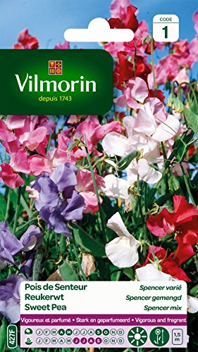 Vilmorin 5601241 Pois de Senteur, Multicolore, 90 x 2 x 160 cm Cover