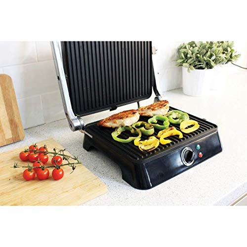 haden panini press and grill