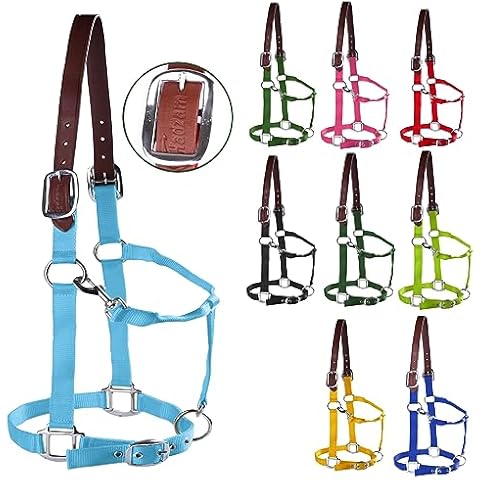 HADZAM Leather Horse Halter, with Leather Breakaway Crown and Triple-Ply Nylon Strap for Chin Nose and Throat (Blue, Small) (Mint, Small) Cover