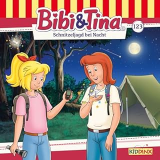 Schnitzeljagd bei Nacht Titelbild