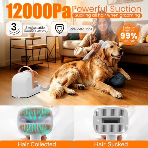Image of PG10 Dog Grooming Vacuum with Electric Clipper & Shedding Brush, 12,000Pa Suction Pet Grooming Vacuum for Dogs, Low Noise Pet Hair Vacuum with Grooming Kit for Home Shedding and Trimming