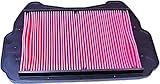 Hiflofiltro HFA1709 Premium OE Replacement Air Filter