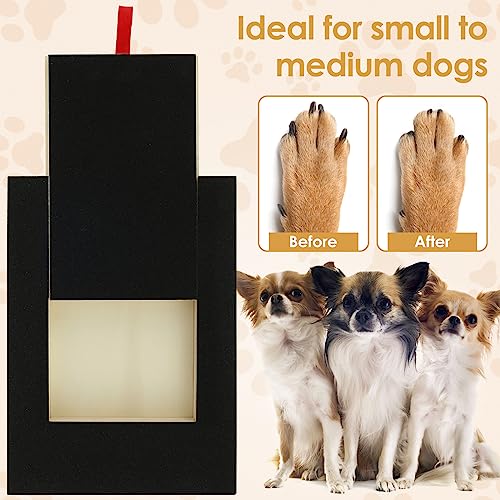 Hunde Krallen Kratzbrett 35x25x3cm Kratzbrett für Hunde mit Leckerli Box Quadrat Stressfrei Dog Nail Scratch Board für alle Arten von Hunden Dog Nail File Board für Haustiernagel Care