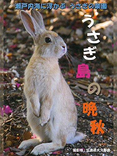 うさぎ島の晩秋