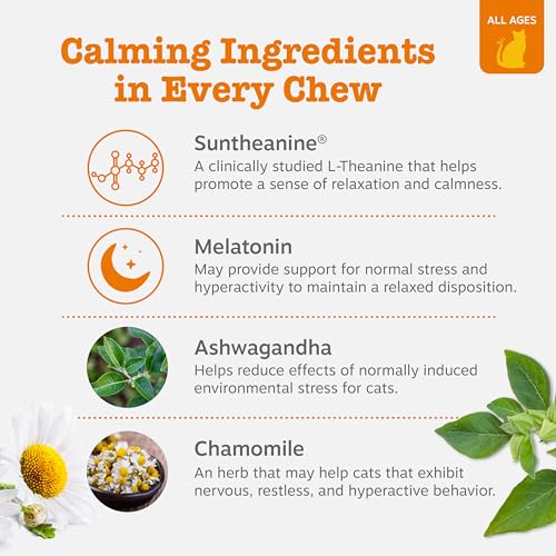Image of Zesty Paws Calming Chews for Cats - Composure & Relaxation for Everyday Stress & Separation - with Ashwagandha, Organic Chamomile, L-Theanine & L-Tryptophan - Bacon - 60 Count - Cat