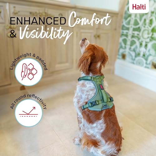 Image of Halti Anatomy Dog Harness with Handle | Size XL, Green | Padded, Adjustable & Reflective No Pull Dog Harness, 3 Leash Attachment Points including Front Clip, Suitable for Large Dogs