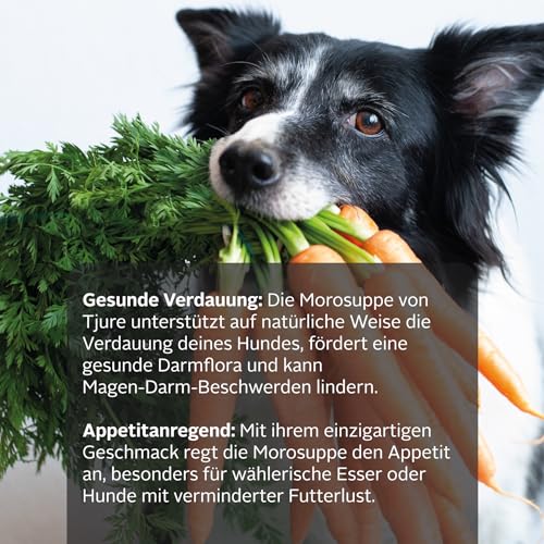 Tjure Morosche Karottensuppe Hund & Katze | 6 x 320 ml | Ergänzungsfuttermittel auf Karottenbasis | Zur Ergänzung der Fütterung in besonderen Phasen | Ohne Zusatzstoffe