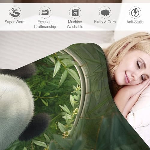 Couverture polaire panda pour des soirées cocooning confortables sur le canapé