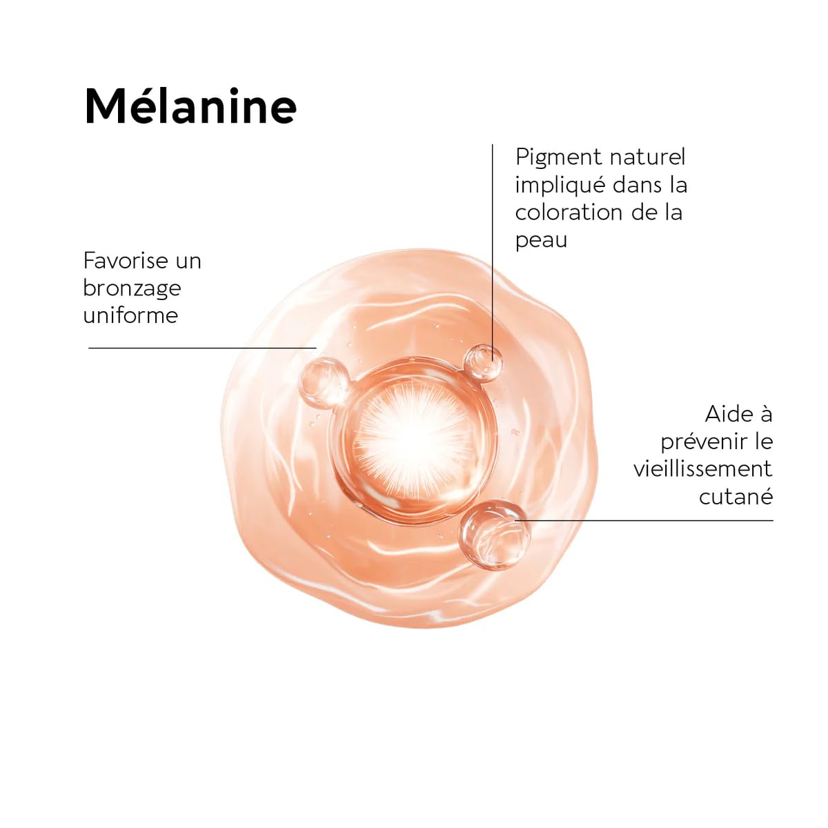 BIOCYTE Terracotta Bronzage Intense - Complement Alimentaire Bronzage - Vitamine E, Cuivre, Melanine, Huile de Bourrache - Programme de 30 jours