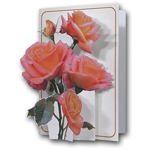 Pink Roses - a 3D Pop Up Greeting Card from The Pictoria Press Cover