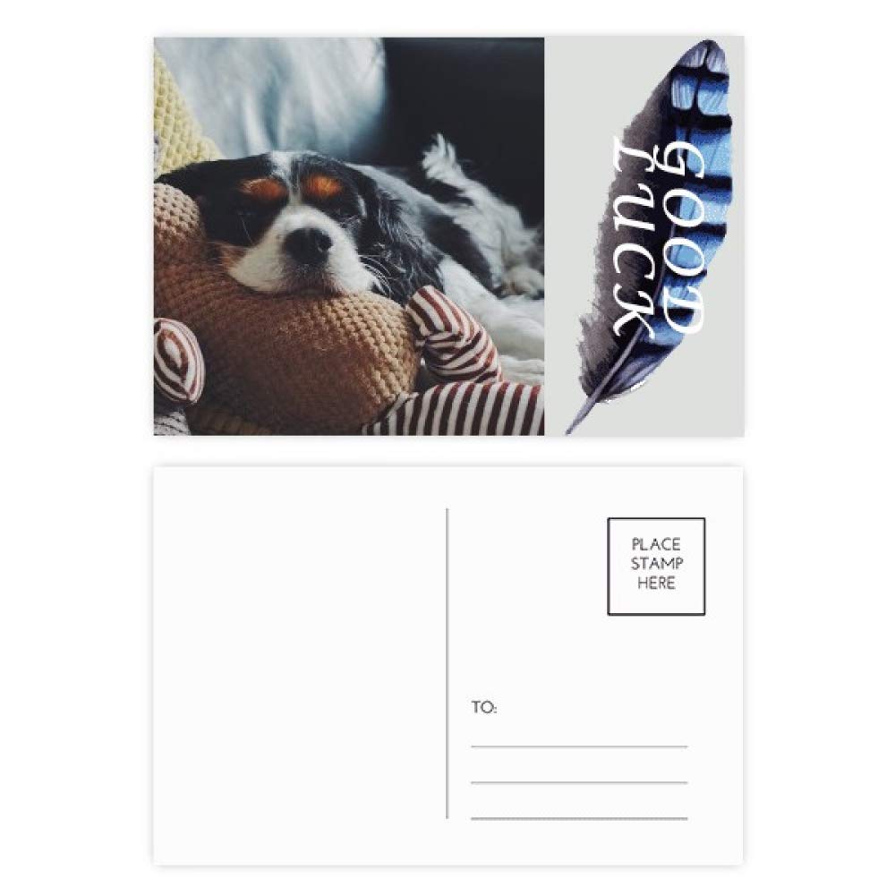 Lazy Dog Postkarten-Set mit gefhlvollen Motiven, Glcksfeder, 20 Stck :  Amazon.de: Brobedarf & Schreibwaren