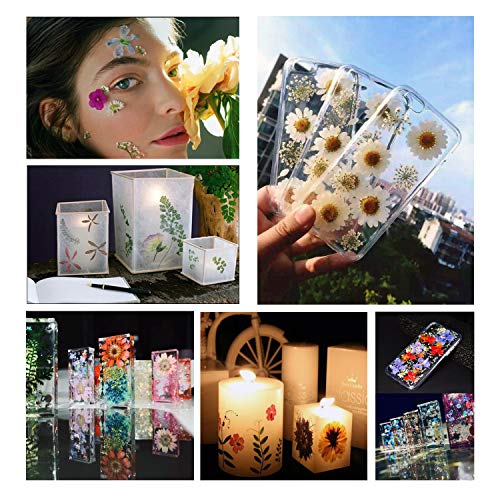 image for NLUS 120 PCS Dried Flowers for Resin with Tweezers Multiple Colorful R