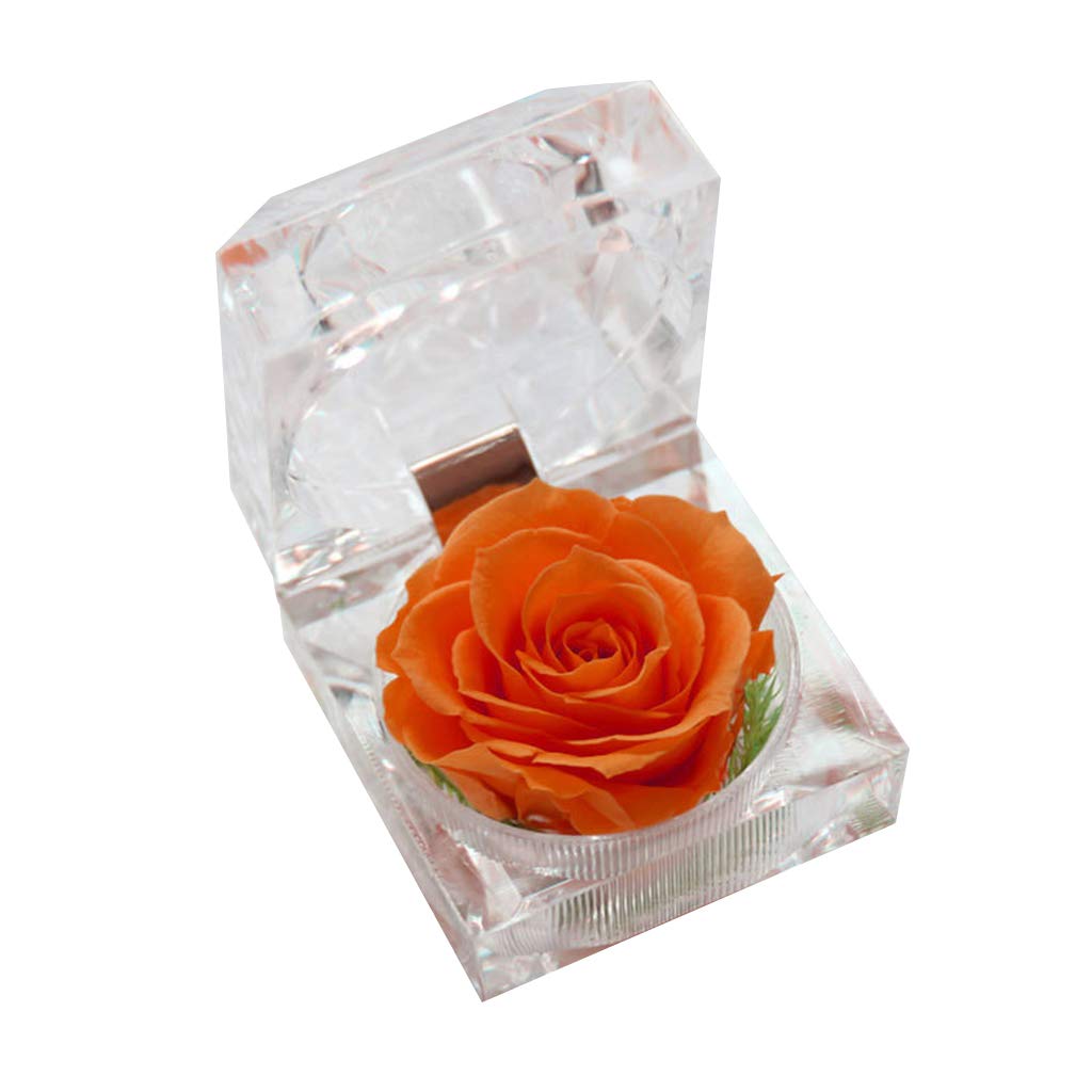 NVOQILIN Preserved Immortal Flower Real Rose For Flowers Decor Crystal Box For Teachers Day Birthday Wedding Parties Valentines Birthday Creative