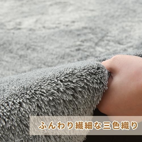 aicomri ラグ カーペット 2畳 ラグマット 絨毯 厚手 シャギー 北欧 ラグ 洗える 185x185 cm 滑り止め付 防ダニ ふわふわ肌触り ホットカーペットカバー ウレタン オールシーズン じゅうたん [3]