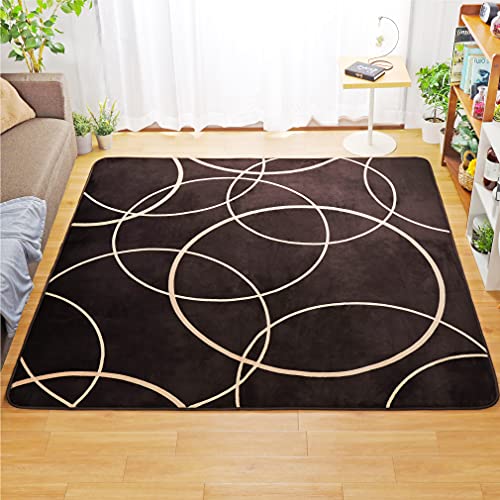 ラグ カーペット ラグマット 洗える 厚手 厚さ約10mm フランネルラグ 2畳 約185cm×185cm ブラウン サークル柄 やわらかなめらか感触 ホットカーペットカバー こたつ敷き モダン 北欧 ModernCircle モダンサークル