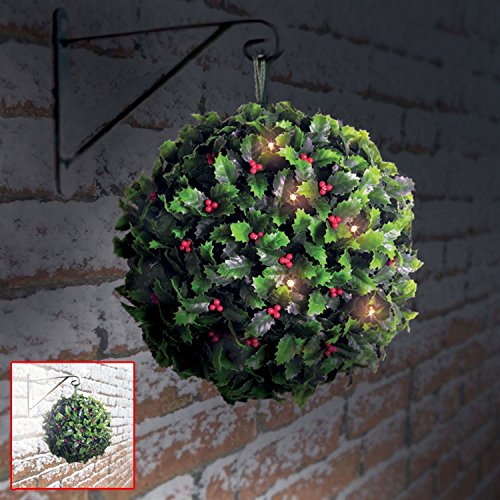 Solalite - Set di 4 Solar Powered Holly Berry arte...