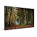 Produktbild Premium Textil-Leinwand 90 x 60 cm Quer-Format Herbst im Wald | Wandbild, HD-Bild auf Keilrahmen, Fertigbild auf hochwertigem Vlies, Leinwanddruck von Michael Fahrenbach