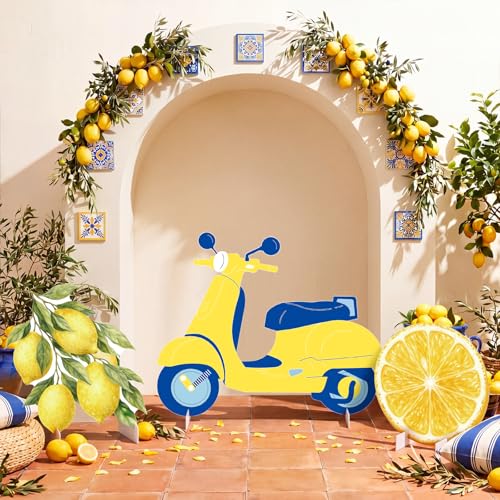 SiliFine 3 Pcs Capri Lemon Party Decorations Amalfi Coast Photo Booth Prop by SiliFine - Used condition - US$17.20